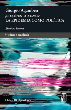 ¿En qué punto estamos? - la epidemia como política