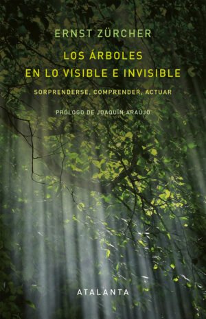 El Campo Vibratorio - Introducción a la medicina clásica chinad esde un punto de vista científico