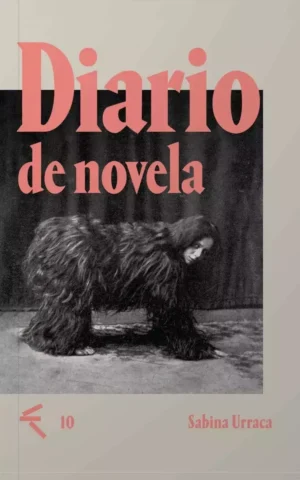 Diario de novela