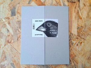 Así limpio el mundo