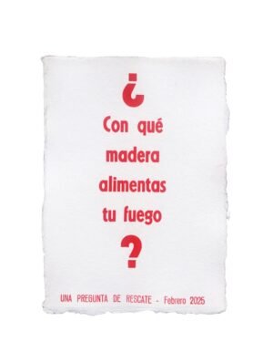 Cón qué madera alimentas tu fuego?