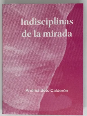 Indisciplinas de la mirada