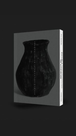 Escuela de envejecer (Gabriela Cabezon Camara,  Ana Beatriz Gallardo, Nina Fiocco)