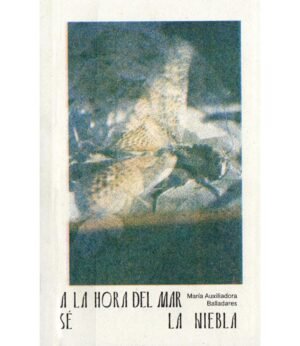 A la Hora del Mar, sé la niebla